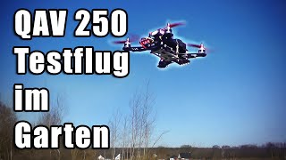 5 QAV 250  TestFlug im Garten [upl. by Sybille]