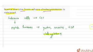 Name the site from where cholecystokinin is released [upl. by Artened]