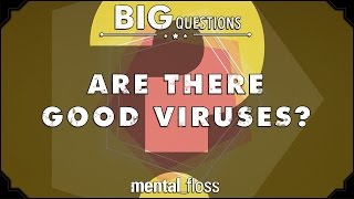 Are there good viruses  Big Questions  Ep 204 [upl. by Mead]