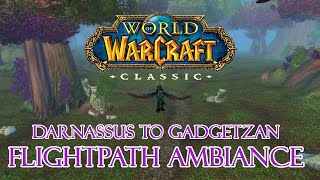 Darnassus to Gadgetzan flight WoW Classic Ambiance and Music [upl. by Kirven]