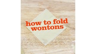 How to fold wontons 4 simple techniques [upl. by Etram190]