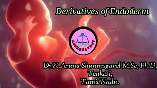 Arunanatomy  Embryology  Derivatives of Endoderm  Animated Video [upl. by Anual823]