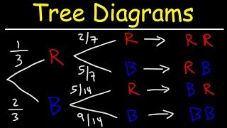 Probability Tree Diagrams [upl. by Wanids189]