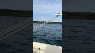 Cornish Shrimper 19 mk1  Solo Sailing [upl. by Malvina899]