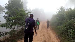 Pemandangan indah awan karpet di Bukit Telipong Changlun Kedah [upl. by Priebe]