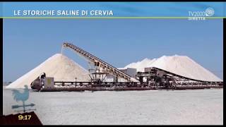 Le storiche saline di Cervia [upl. by Tilford]