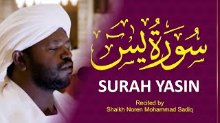 Surah Yaseen سورة يس II Urdu Translation amp Roman Urdu II Shaikh Noren Mohammad Sadiq [upl. by Fennessy38]