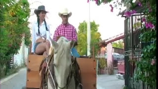 La Bandononona Rancho Viejo de Julio Aramburo  Amor Ligero Video Oficial [upl. by Auohp]