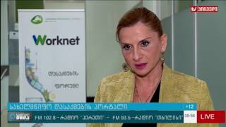 დასაქმების პორტალი worknet gov ge [upl. by Daugherty]