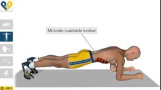 Beneficios del EjercicioComo bajar la barrigaPlancha [upl. by Lotz]