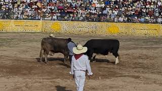 CHONTANO VS RIO PALLANGA Campeón de Campeones 21 de Abril 2024 4K [upl. by Nelyak]