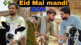 Eid mal mandi 2024  pashto new funny video  Zindabad vines 2024 [upl. by Ennaeed]