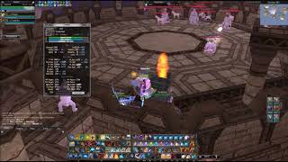 Rappelz E95 Overlord Pet damage [upl. by Chastity]