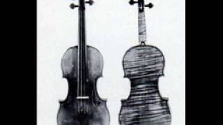 The Glory of Cremona A Violin by Carlo Bergonzi [upl. by Enineg]