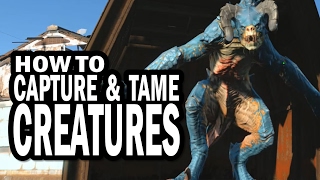 How to Catch and Tame Deathclaws Raiders and Other Creatures in Fallout 4 Wasteland Workshop DLC [upl. by Amero]