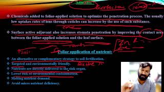 Foliar uptake Mechanism ARS exams [upl. by Ahsemac]