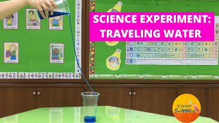 Traveling Water Experiment  Cohesion and Adhesion in Water Explained  Science Experiment for Kids [upl. by Lanos]