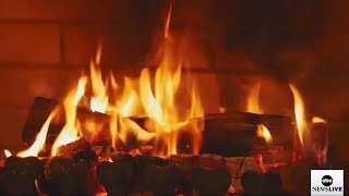 LIVE Warm up with our holiday yule log [upl. by Maurilla]