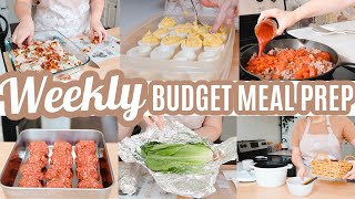 EASY BUDGET FRIENDLY WEEKLY MEAL PREP RECIPES LARGE FAMILY MEALS WHATS FOR DINNER FREEZER MEALS [upl. by Nhabois]