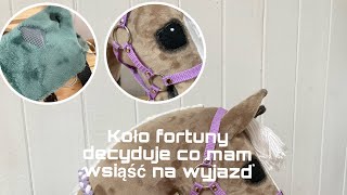 Koło fortuny decyduje co mam wziąć na wyjazd z Bellą do Słowacji 🧳🐴  specjał na 2200 tys subów🌸 [upl. by Suoivatra]