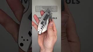 Spyderco Crossbill SS plain edge pocket knife [upl. by Alake99]