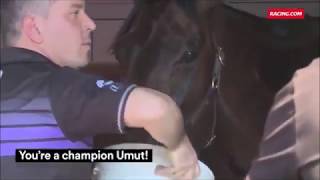 2018 VRC Turnbull Stakes Day  WINX Strapper Umut [upl. by Kronfeld]