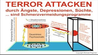 Psychosomatik Ursachen DOKU Ängste Depressionen Sucht Burnout sind Schutzprogramme KS Therapie [upl. by Walworth60]