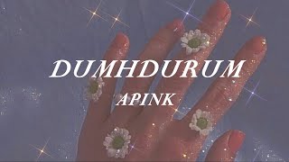 Apink  Dumhdurum Easy Lyrics [upl. by Hendrix]