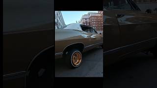 LOW RIDER ELP 23 [upl. by Goldshlag360]