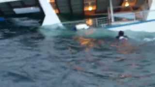 Sharks Attack Man off Sinking Boat [upl. by Remled985]