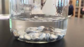 Aluminum in water reaction [upl. by Nimrac]