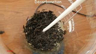 Preparation of Chitosan from Insects [upl. by Einnalem]