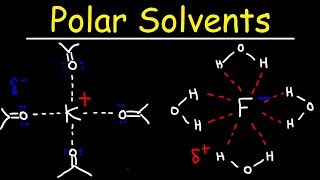 Polar Protic Solvents and Polar Aprotic Solvents For SN1 amp SN2 Reactions [upl. by Rramaj]