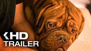 TURNER AND HOOCH Trailer 2021 [upl. by Vezza]