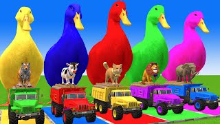 5 Giant Duck CartoonCowElephantTigerLionDinosaurPaint Wild Animals Crossing Fountain Animation [upl. by Bithia]