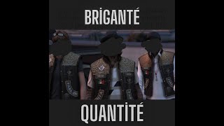 VISION Briganté  Quantité [upl. by Nomad343]