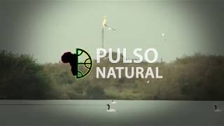 Pulso Natural  Gran Río Video Oficial [upl. by Shiekh235]