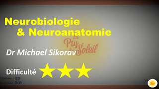 Neurobiologie amp neuroanatomie  Dr Michael SIKORAV [upl. by Eahcim]