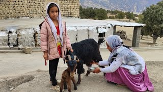 Cooperation and Solidarity Angel and Fariba in Nomadic Life [upl. by Emanuel828]