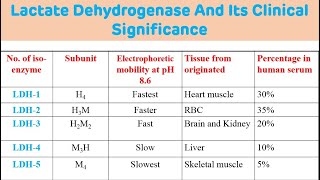 Lactate Dehydrogenase And Its Clinical Significance  LDH Biochemistry [upl. by Aknaib141]