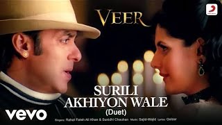 Salaam Aaya Video Song  Veer  Salman Khan amp Zarine Khan [upl. by Ahsap]