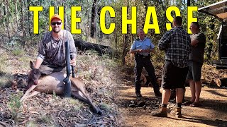 Fallow Deer Hunting In Australian State Forest  Venison Catch amp Cook [upl. by Eanram775]