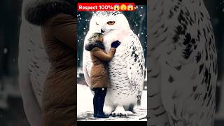 Respect bird 🔥🐈🥶😱Amazing video shorts shortsvideo respect trending funny MrBean MrBeast [upl. by Aerdnwahs]