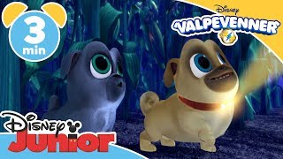 Valpevenner  Det bortkomne halsbåndet  Disney Junior Norge [upl. by Nyrrat]