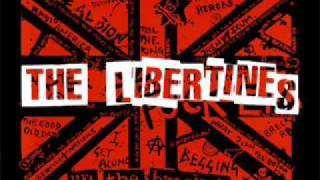 The Libertines  Cant Stand Me Now with lyrics in description [upl. by Eveneg]