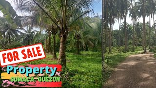 22 Lot farm For Sale Gumaca Quezon part 1 [upl. by Jenica]