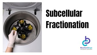 Subcellular Fractionation  Cell Fractionation  Biochemistry [upl. by Alisha95]