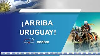 CARRERAS MARONAS 230624  EN VIVO  URUGUAY [upl. by Ierdna]