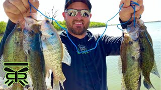 BANK Fishing for CRAPPIE with MINNOWS 🔥  SLIP CORK amp Minnows 🐟 BARFLY [upl. by Nimsay]