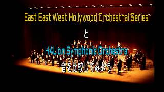 Compare quotHALion Symphonic Orchestraquot with quoteastwest hollywood orchestra seriesquot [upl. by Bobbee320]